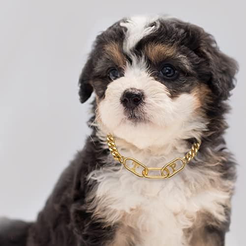 Thankspaw Altın Köpek Zinciri Yaka Link Zinciri Metal Kolye Evcil Hayvanlar için Yürüyüş Eğitim Yaka Güçlü Ağır Küçük