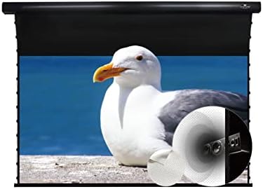 VİVİDSTORM-Ana Sayfa/Film Ekranı Ses Şeffaf Delikli Beyaz Sinema PVC,Karartma Muhafazası Tavana Montaj Ekranı,Sıradan