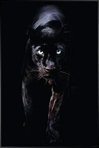 TrıX HR-74096B Sanat Çerçevesi / Hayvan Siyahı 36x24 Poster Siyah Leopar + Alüminyum Çerçeve
