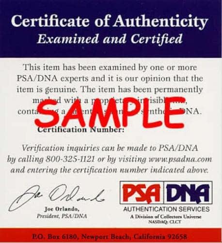 Phil Jackson PSA DNA Vintage İmzalı 8x10 Fotoğraf İmzası - İmzalı NBA Fotoğrafları